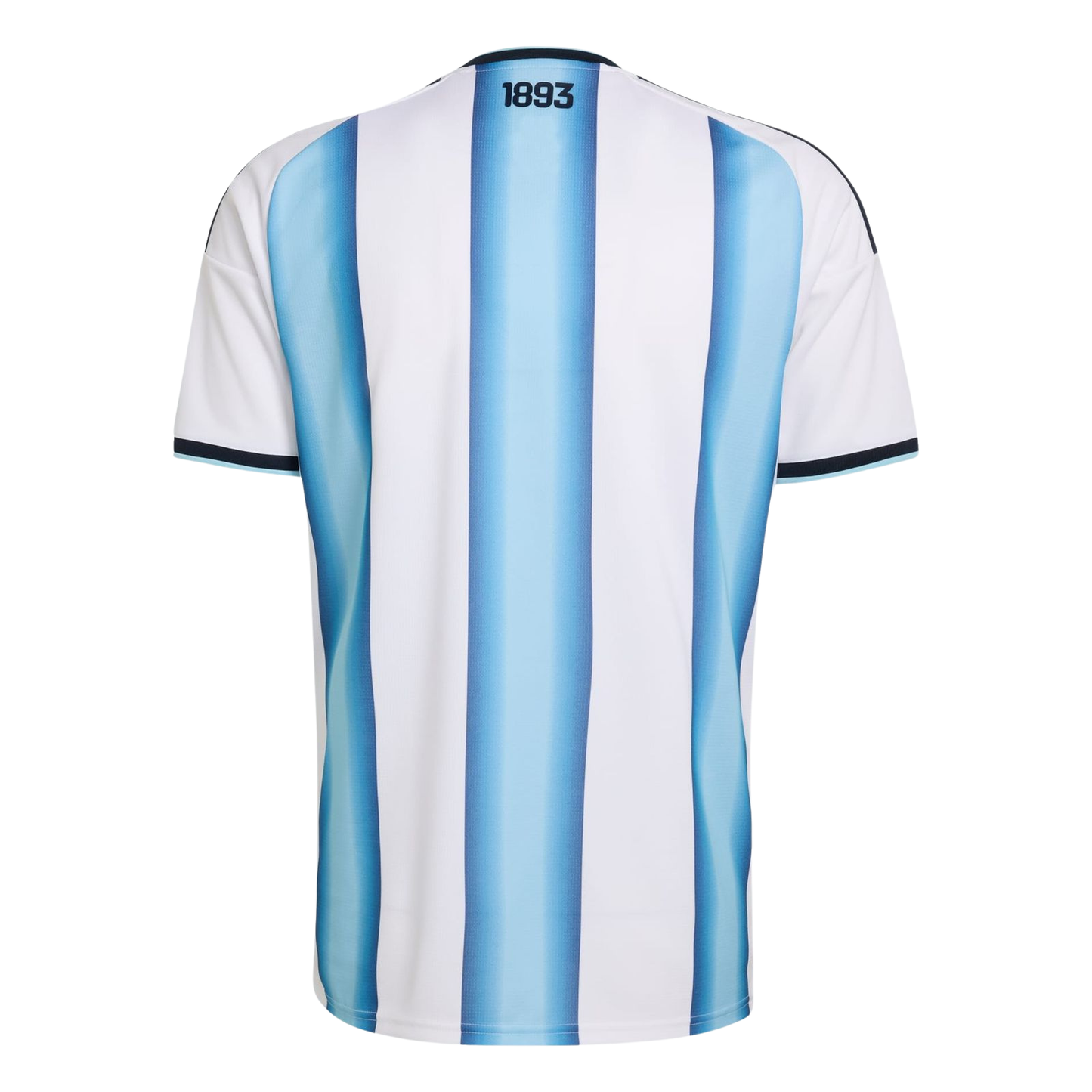 Mens Argentina Home World Cup 26